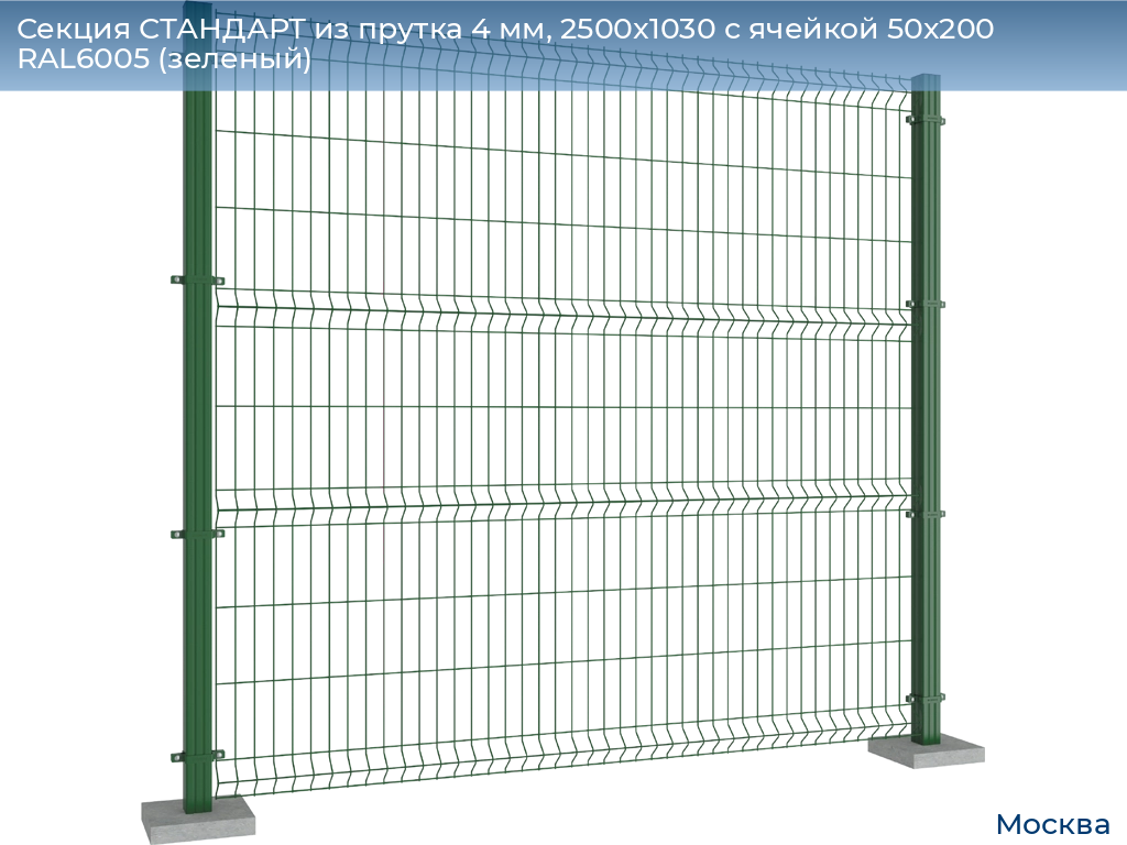 Секция СТАНДАРТ из прутка 4 мм, 2500x1030 с ячейкой 50х200 RAL6005 (зеленый), 