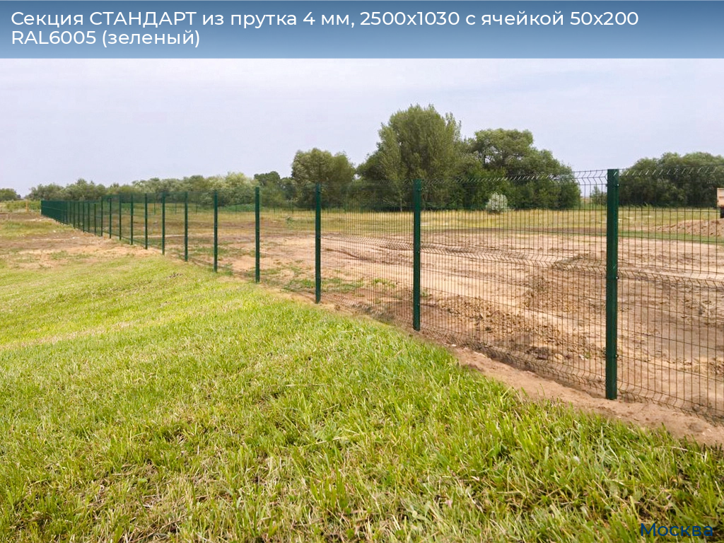 Секция СТАНДАРТ из прутка 4 мм, 2500x1030 с ячейкой 50х200 RAL6005 (зеленый), 