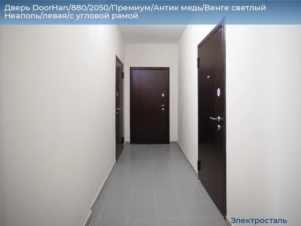 Дверь DoorHan/880/2050/Премиум/Антик медь/Венге светлый Неаполь/левая/с угловой рамой, electrostal.doorhan.ru