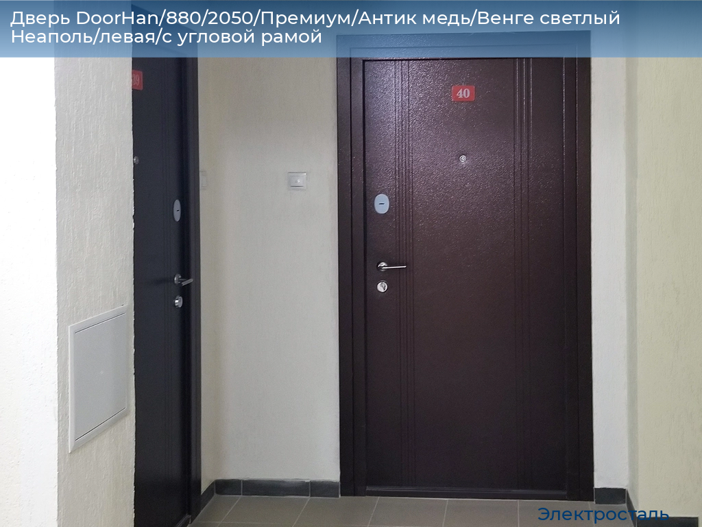 Дверь DoorHan/880/2050/Премиум/Антик медь/Венге светлый Неаполь/левая/с угловой рамой, electrostal.doorhan.ru