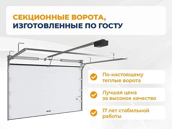 Секционные ворота 2500х2200 мм коричнево-красные DoorHan rsd02, electrostal.doorhan.ru